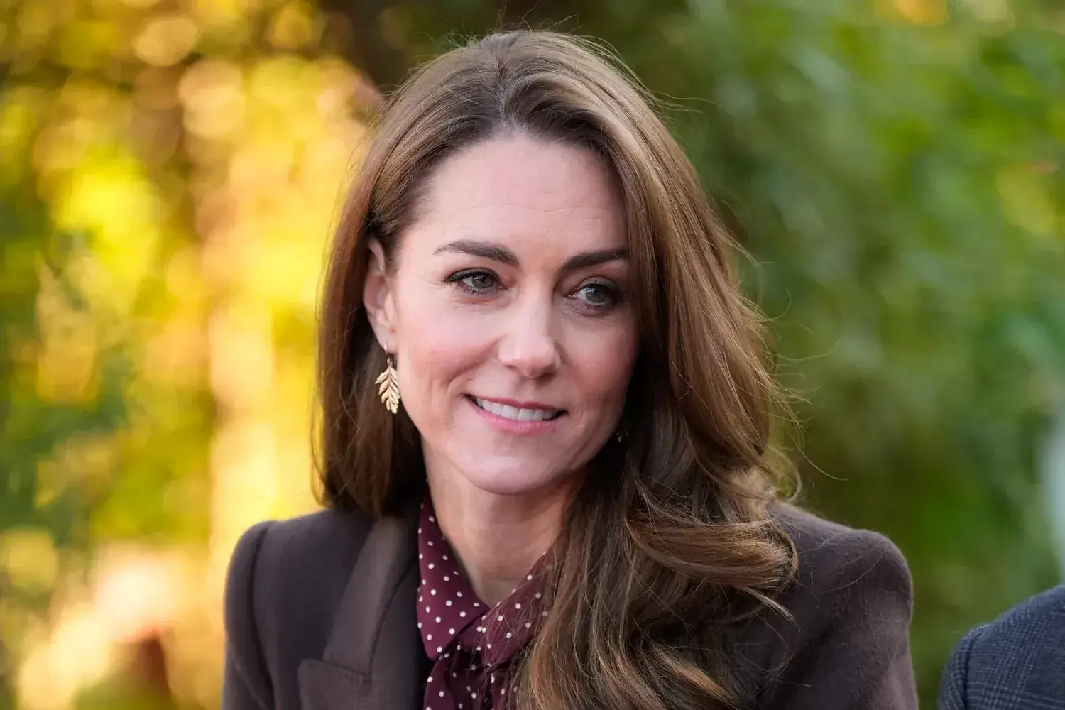 Kate Middleton reveals she is in remission from cancer: 'I remain focused on recovery' Illustrations